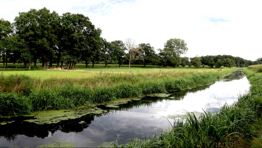 Het Sallandse landschap net buiten Heino is ideaal om door te wandelen