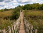 wandelen in de plateaux-hageven