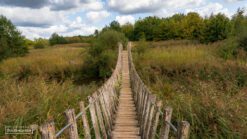 wandelen in de plateaux-hageven