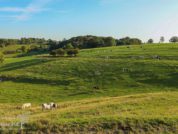 Landschap Bronnenwandeling Voeren