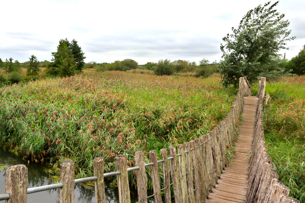 Plateaux-Hageven