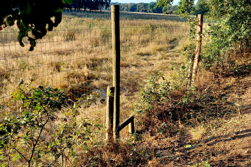 De afrastering in het Weerterbos met een toegangspoortje voor kleinere dieren