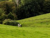 epen in zuid limburg wandelen langs de geul