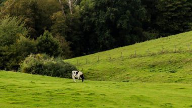 epen in zuid limburg wandelen langs de geul