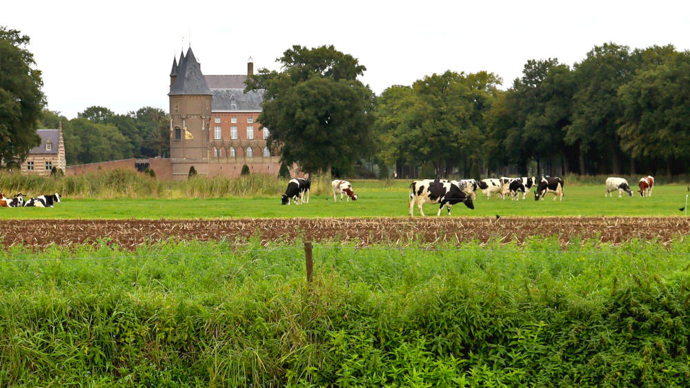 Kasteel Heeswijk zie je in het begin van de wandelroute al op een afstandje liggen.