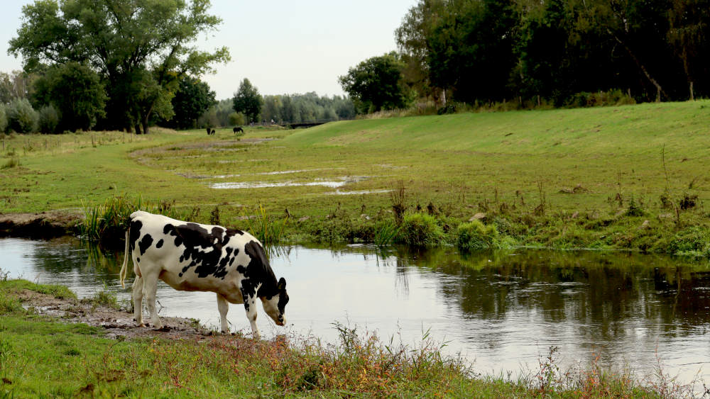 wandelroute Heeswijk, langs de rivier de Aa