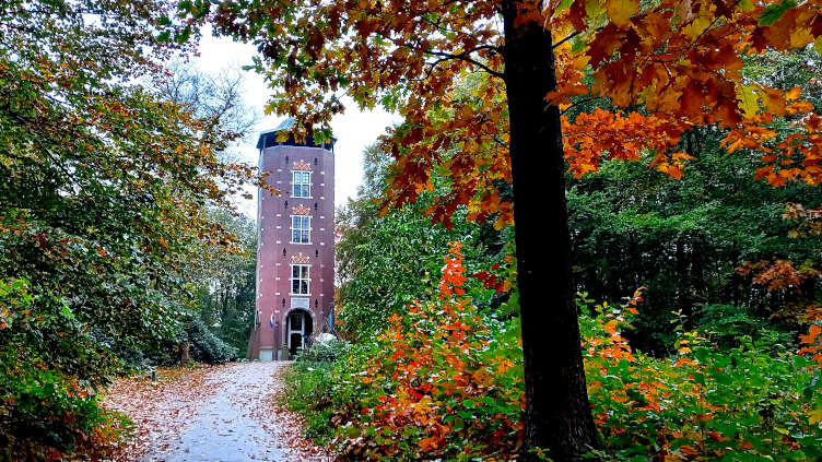 Uitkijktoren de Koepel in het Luntersche Buurtbosch in Lunteren