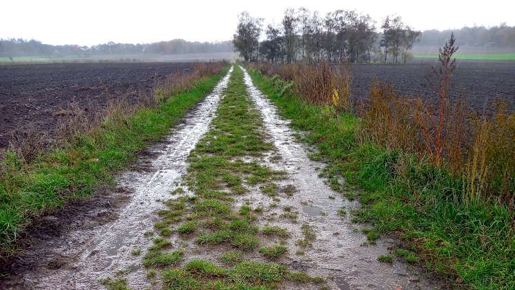 Klompenpad tijdens een regenbui wordt lekker modderig.