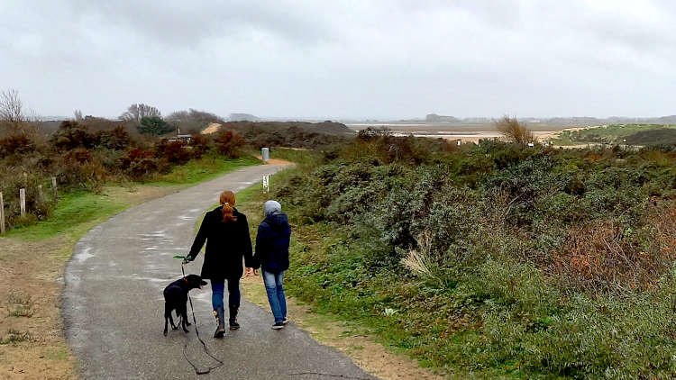 Duinen met het Zwin op de achtergrond