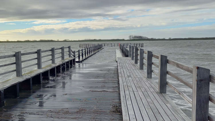 Observatieplatform in het zeewater van het Zwin 