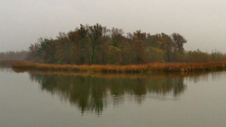 Eiland tegenover het Biesbosch Museum