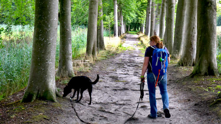 Paadje achter Kasteel 't Nijenhuis langs  tijdens de wandeling vanuit Heino 