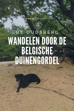 Wandelen bij de Oudsberg, Pinterest Pin