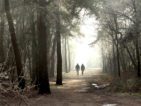 Wandelaars in Bomenpark Heesch in De Maashors