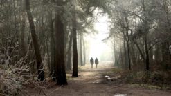 Wandelaars in Bomenpark Heesch in De Maashors