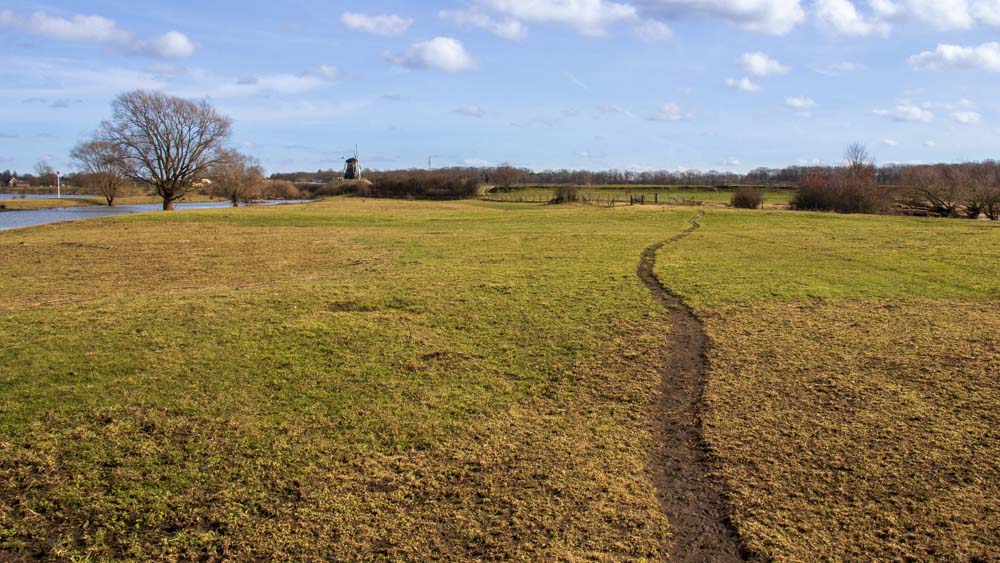 Wandelpaadje langs de Maas in Beesel bij de Trage Tocht