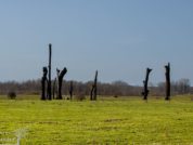 woodhenge aan de maas in Meers