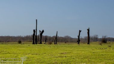 woodhenge aan de maas in Meers