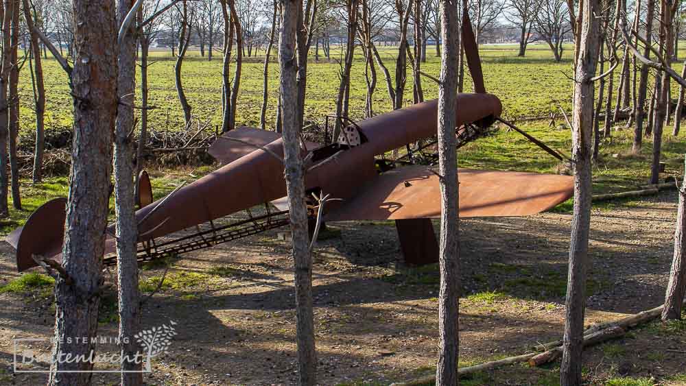Het stalen vliegtuig tussen de bomen in het belevingsbos
