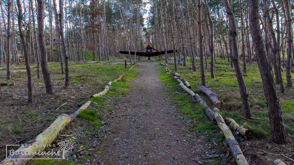 pad door het belevingsbos