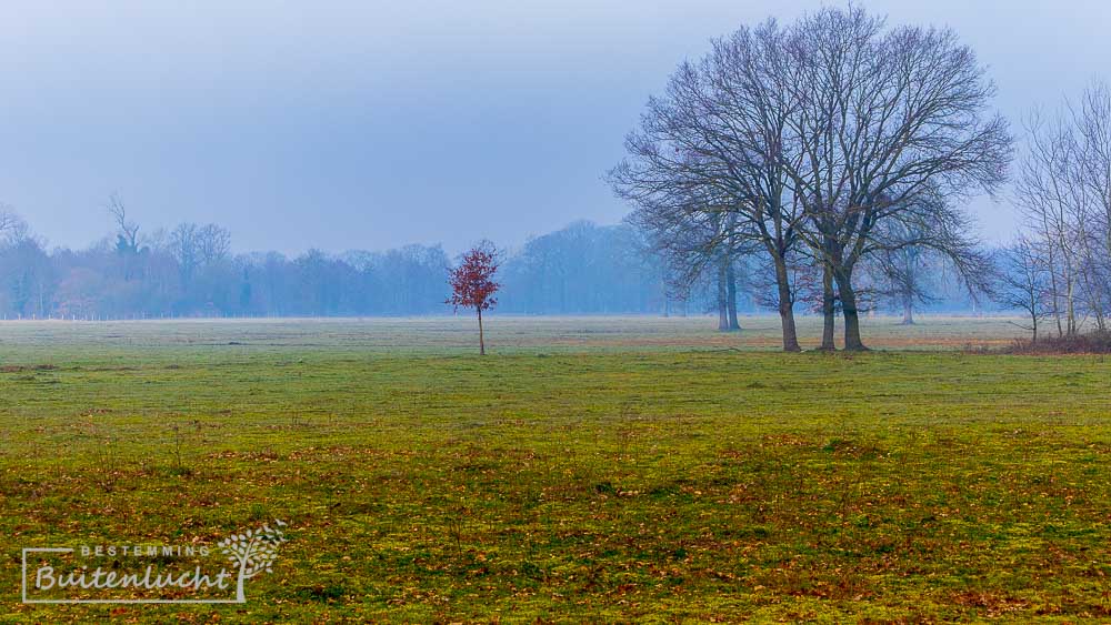 Wijffelterbroek en Smeetshoek bij Stramproy