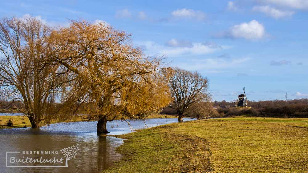 Fotograferen langs de Maas in Beesel in Limburg