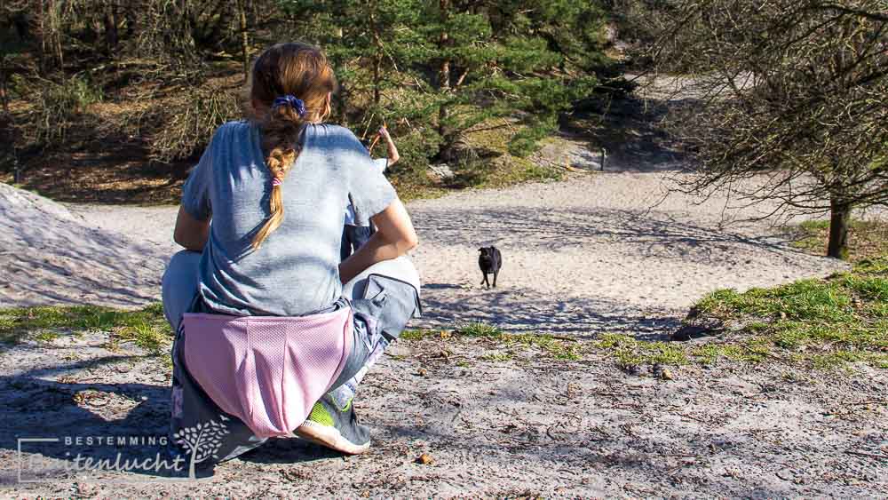 hond slooft zich uit in het losloopgebied