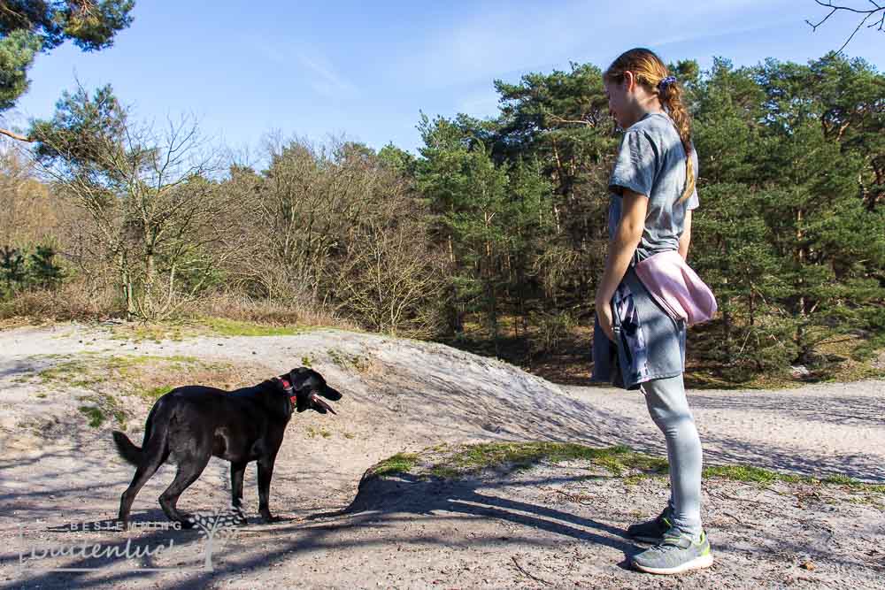 De Trage Tocht Brunsummerheide heeft ook een stuk losloopgebied