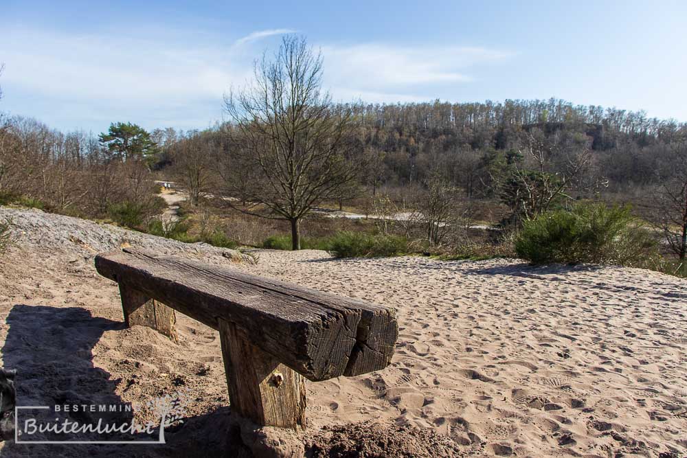 Bankje in de Brunsummerheide