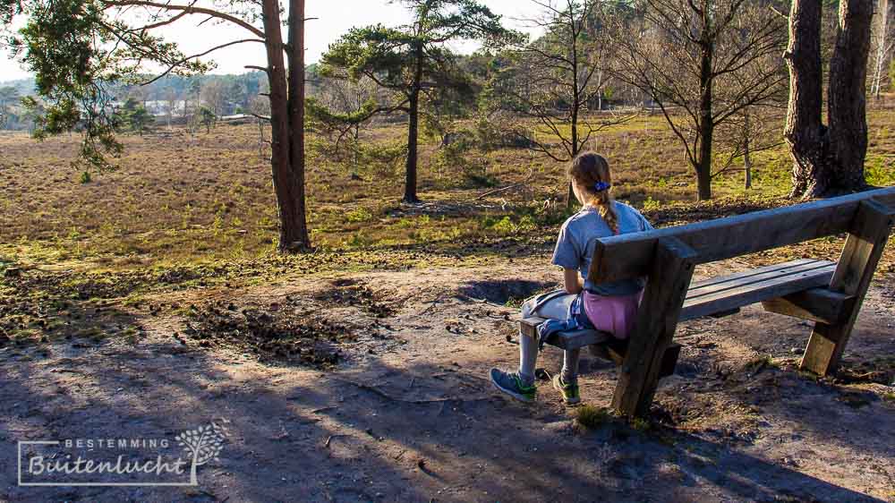 uitzicht over het hoogveengebied van de brunsummerheide