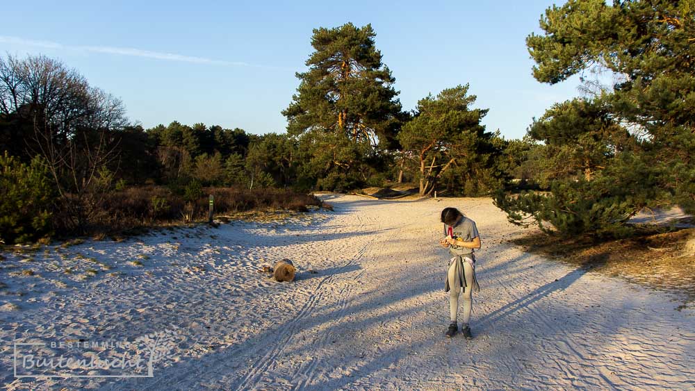 brede zandpaden bij de trage tocht Brunsummerheide