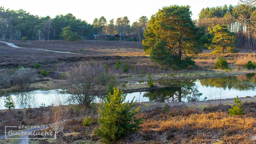 De Trage Tocht voert langs en ven in de Brunsummerheide 