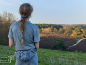 uitzicht over de brunsummerheide