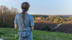 uitzicht over de brunsummerheide