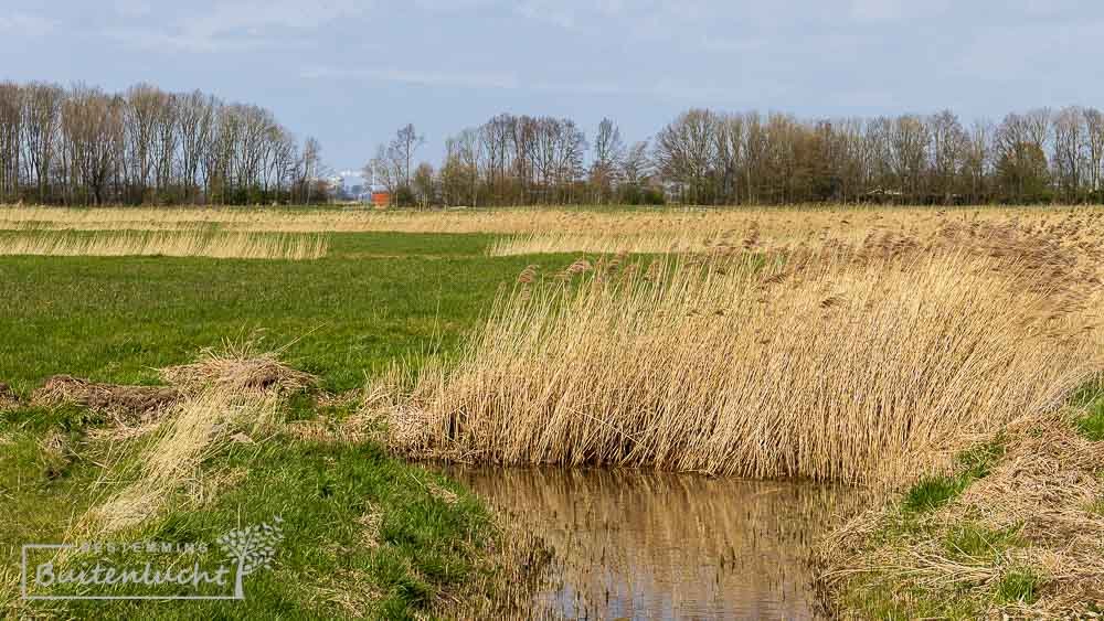 wandelen door de landerijen rondom Delfzijl