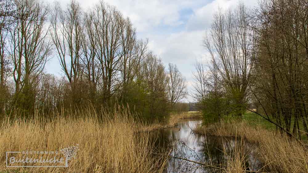 Wandelen door het Biessumerbos bij Delfzijl