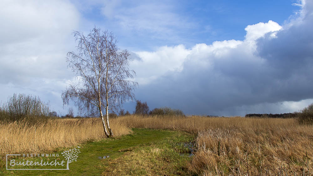 donkere wolken boven NP de Alde Feanen