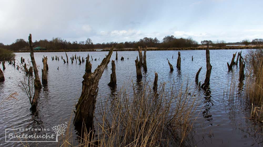 hoog water tijdens de wandelroute door de ALde Feanen
