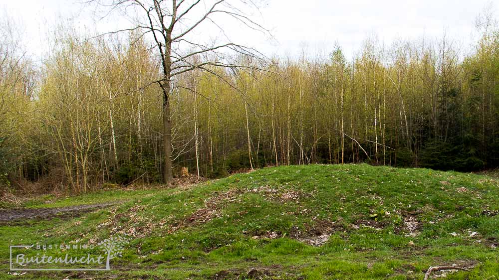 grafheuvel langs het rolstoelpad in Limburg