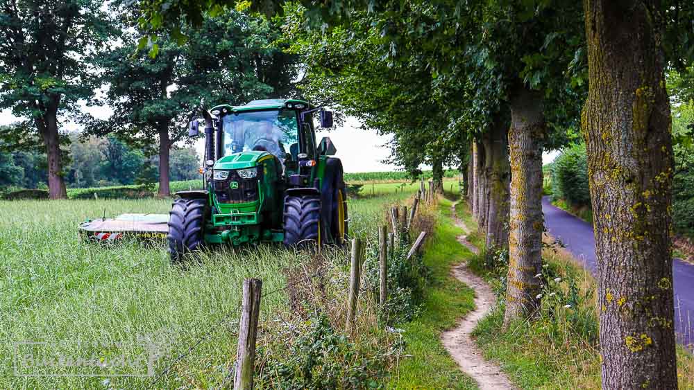 Tijdens de Trage Tocht Slenaken kom je af en toe ook langs cultuurlandschap