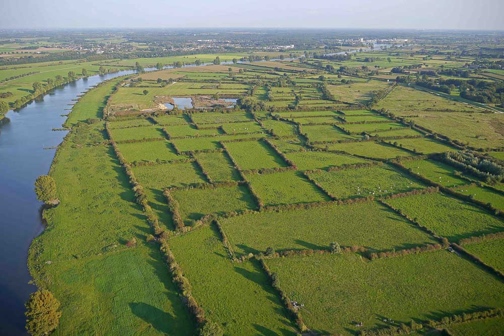 Luchtfoto van de Maasheggen van de Oeffelter Meent