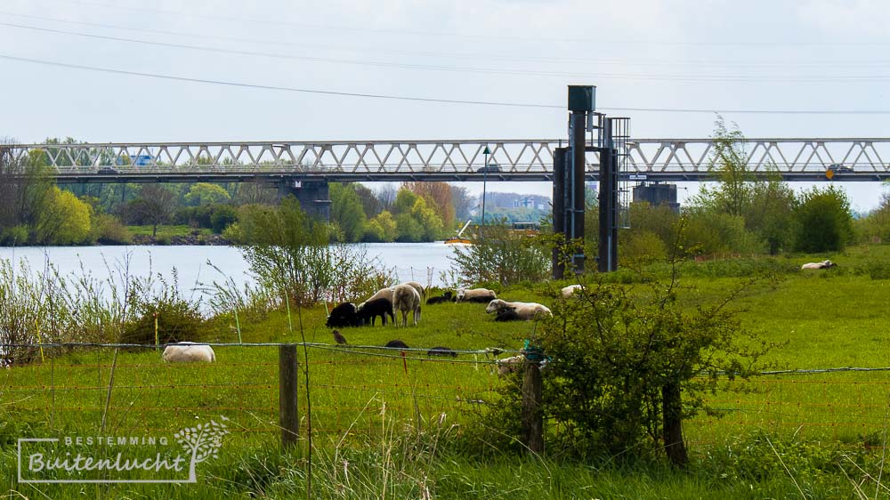 Maasbrug bij Gennep