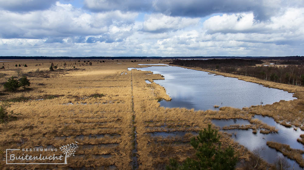 uitzicht over Fochteloërveen vanuit de uitkijktoren