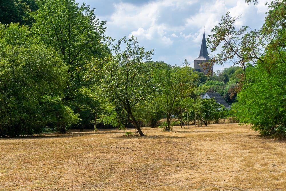 Het Pieterpad in Duitsland: wandelen over de grens