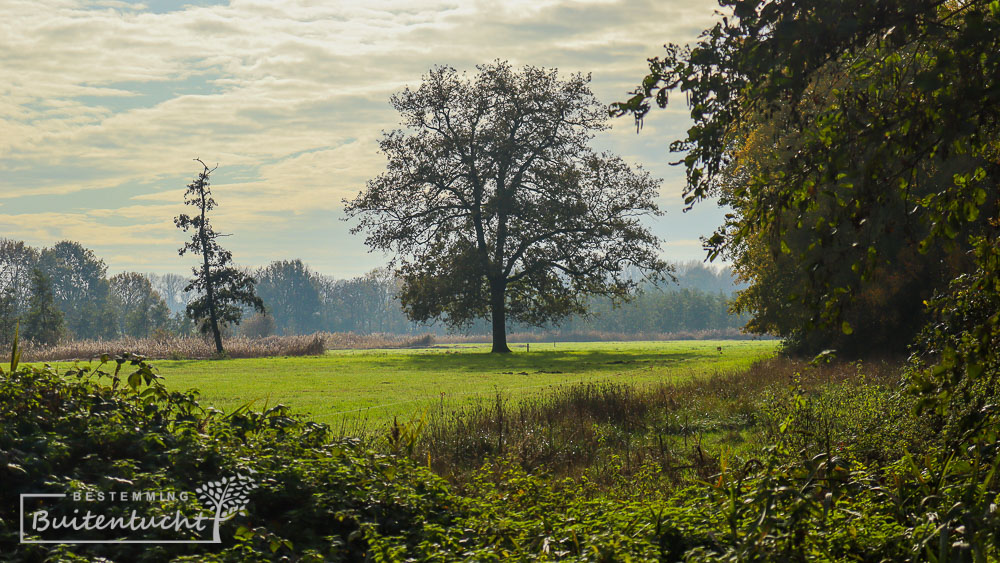 De vallei van de Tingelroyse Beek bij Swartbroek tijdens het Graaf van Hornepad.