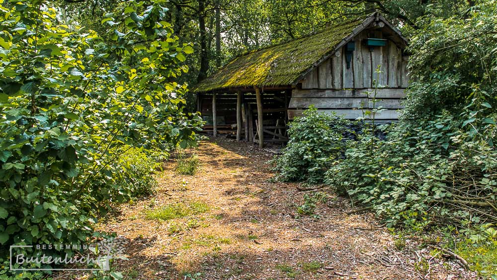 Strijbosch, natuurgebied bij Handel in Oost-Brabant