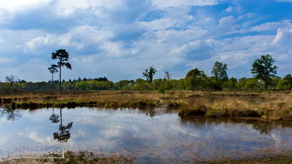 Weerschiegeling in Overasseltse en Haterse Vennen