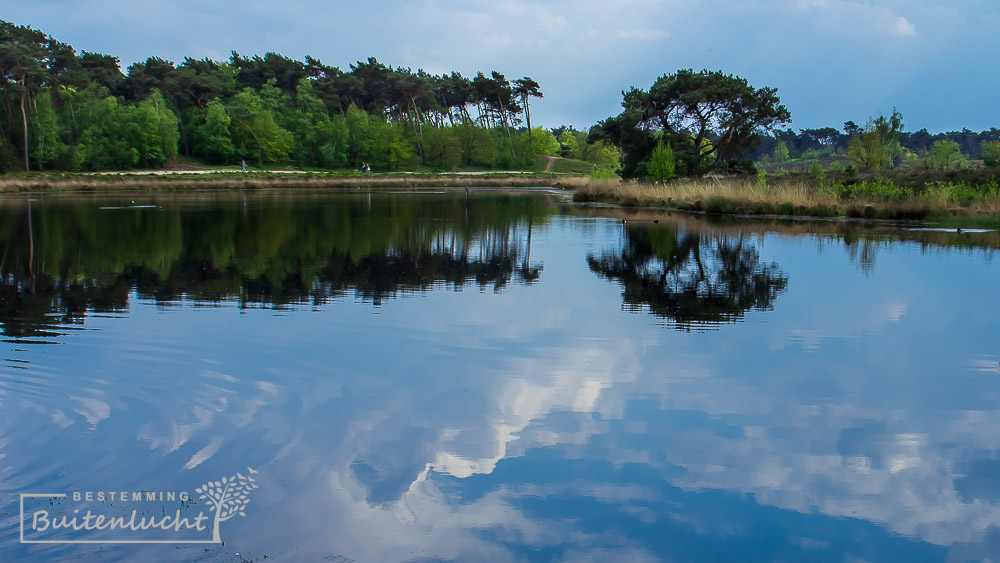 Wierspiegeling in de vennen