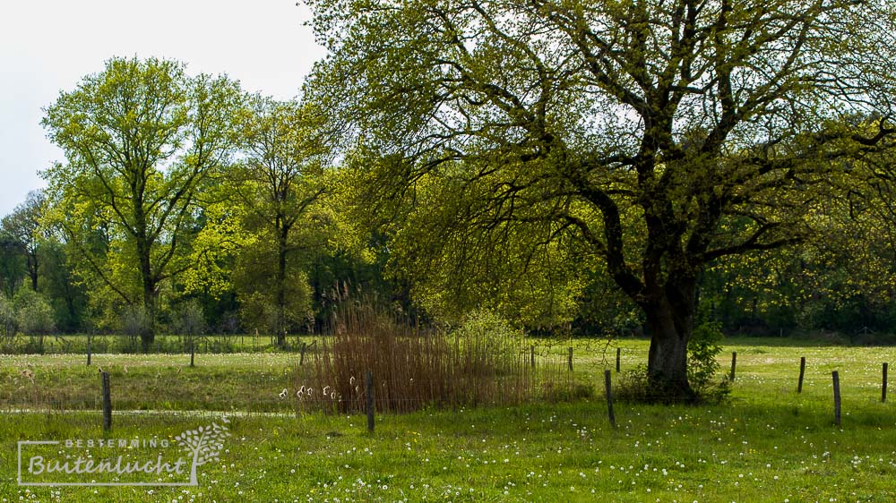 Doorkijkje bij de natuurakkers