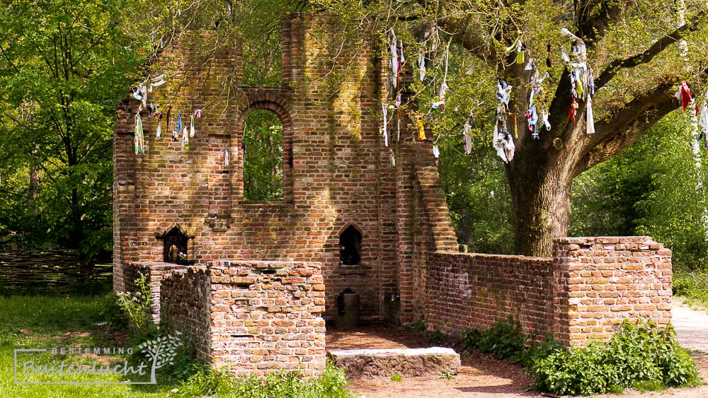 ruïne van SInt-Walrickkapel in Overasselt